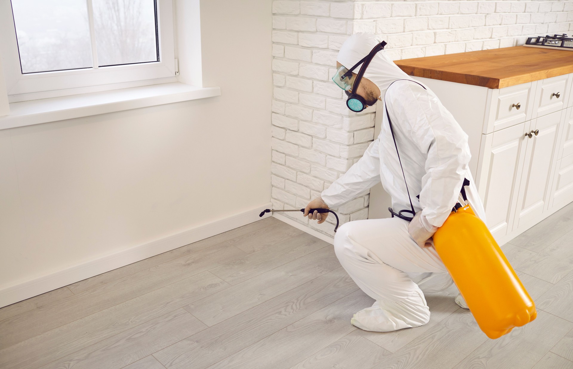 Pest control exterminator spraying termite or cockroach insecticide in the house
